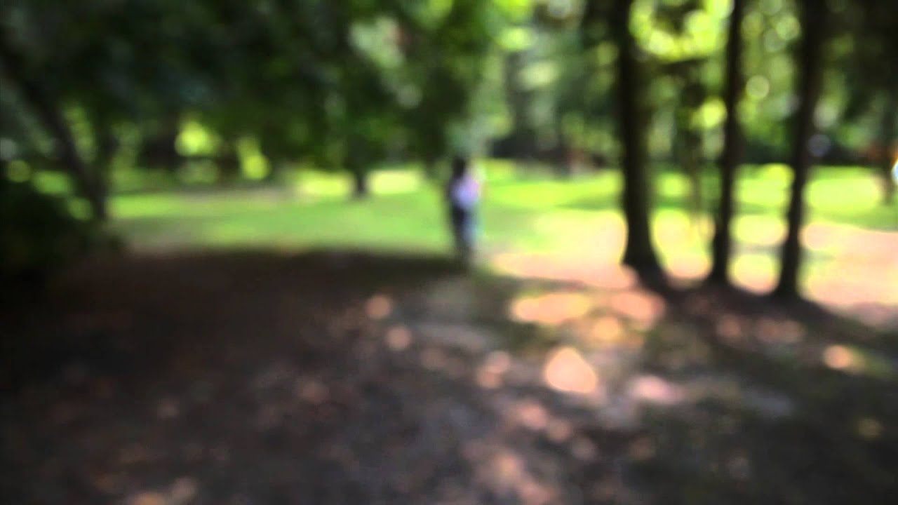 TV KAMP ZOMER 2014 - Bagagedrager