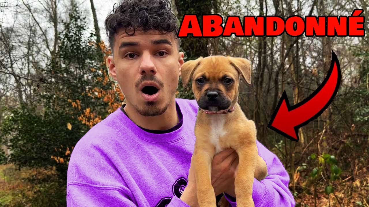 NOUS AVONS TROUVER UN CHIEN ABANDONNE ! (on l'a sauvé !)