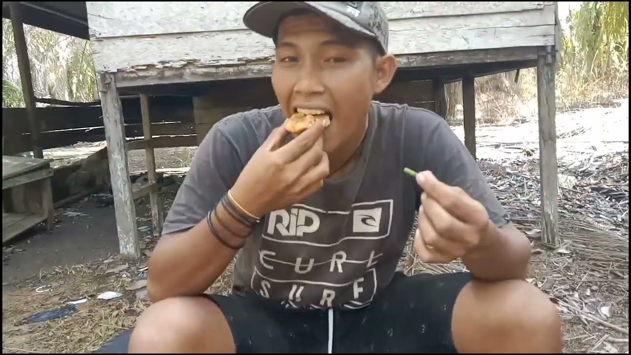 mikat tledekan // mangkeren  #burung#alamindonesia#kalsel#mikatburung