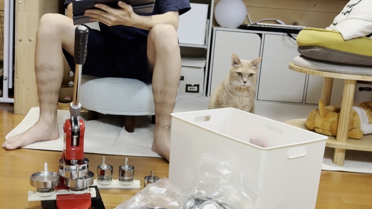 お母さんが見かけたひのきの秀吉を見かけたら殴りたくなる一日