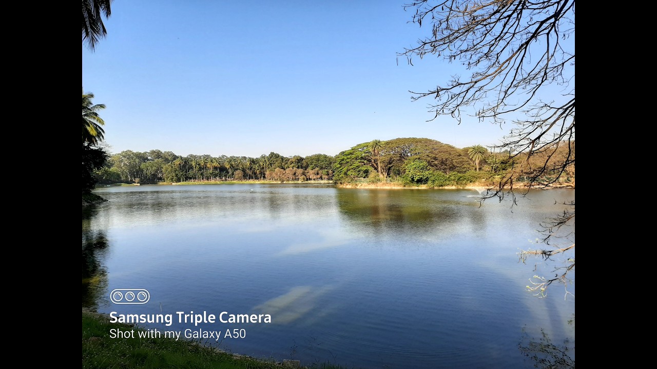 'The Emotional Hook' - LALBAGH |Missing those days🥹|Bengaluru vibes|