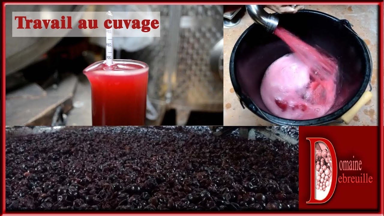 Bourgogne Rouge 2018 #2 : la cuvaison