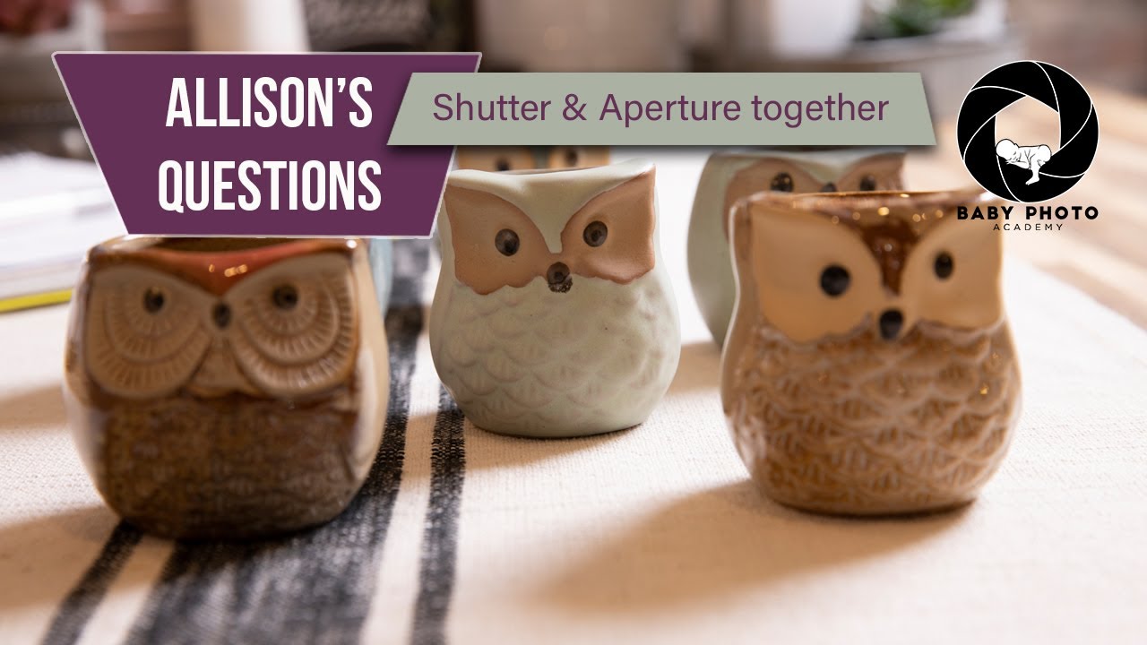 Allison's Questions!! Shutter and Aperture Together