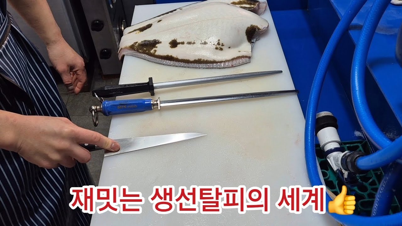 재밋는 생선탈피의 세계~야스리의 마법👍