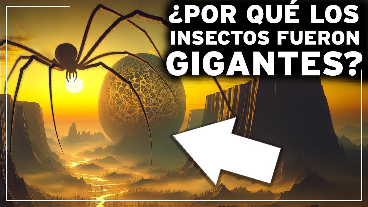 ¿Cómo era la Tierra en la Época de los Insectos Gigantes? Los Secretos más Asombrosos Documental