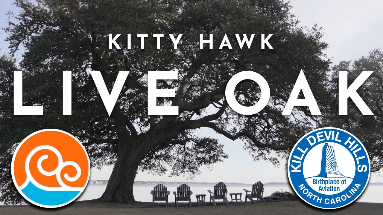 Live Oak