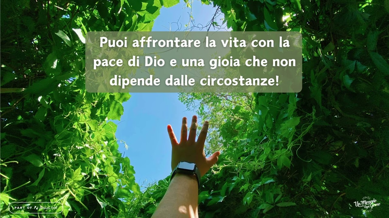 La mia vita nelle mani di Dio| Un miracolo ogni giorno.