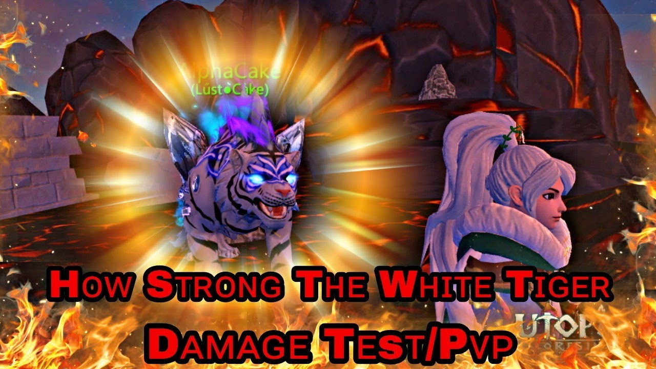 White Tiger Damage Test:How Strong White Tiger:Utopia Origin