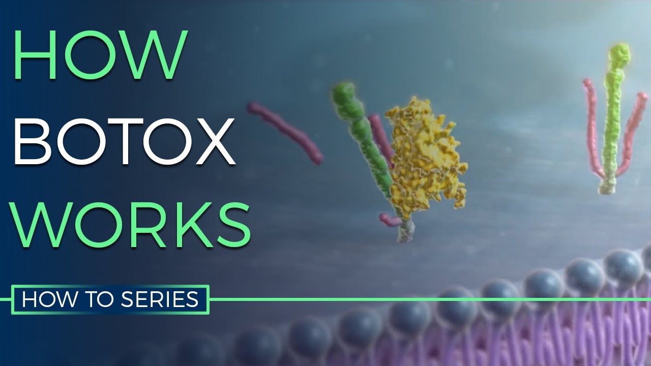 How Botox Works - HOW TO SERIES