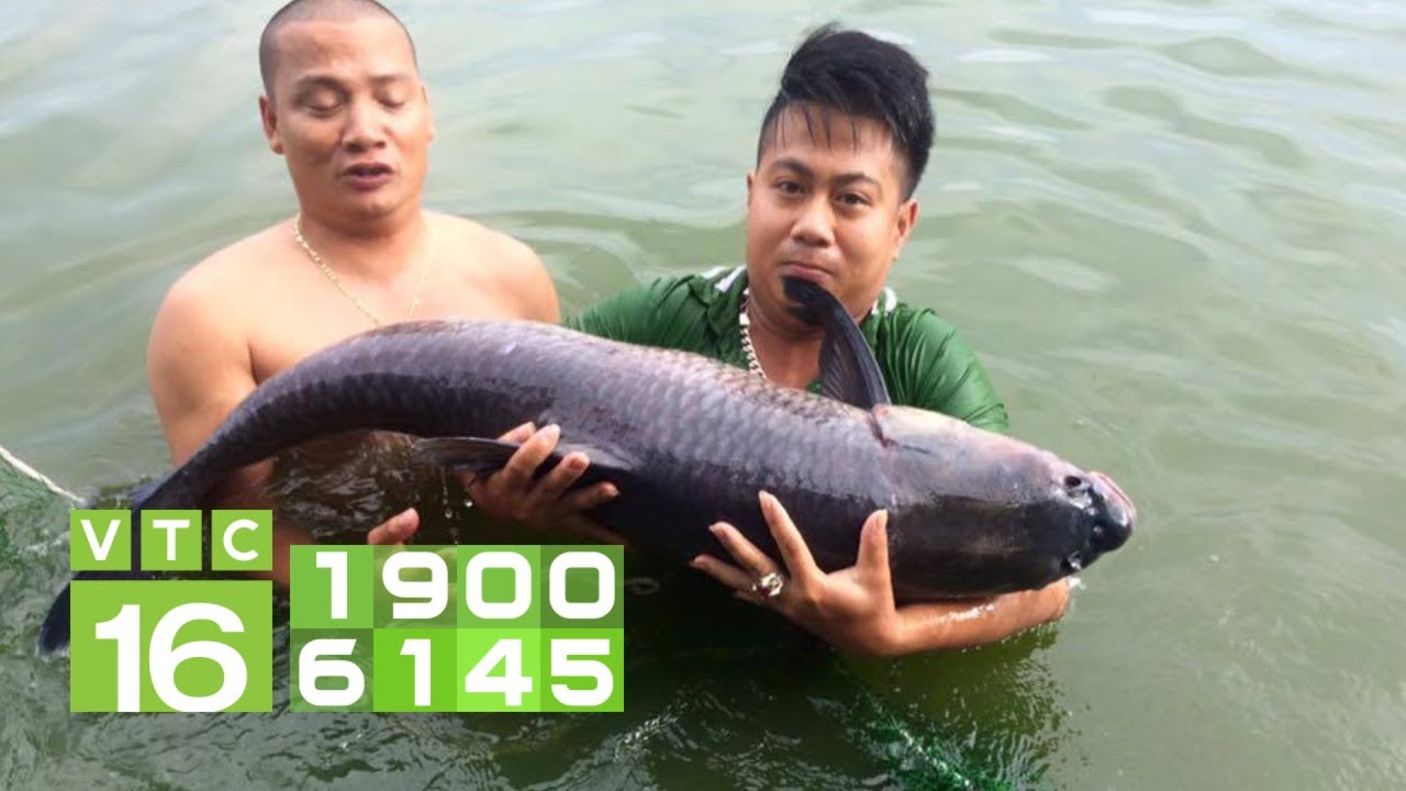 Mật độ 