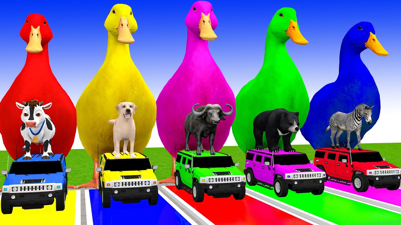 Long Slide Game With Cow Elephant Gorilla Hippopotamus Tiger 3d Animal Game Funny 3d Animals