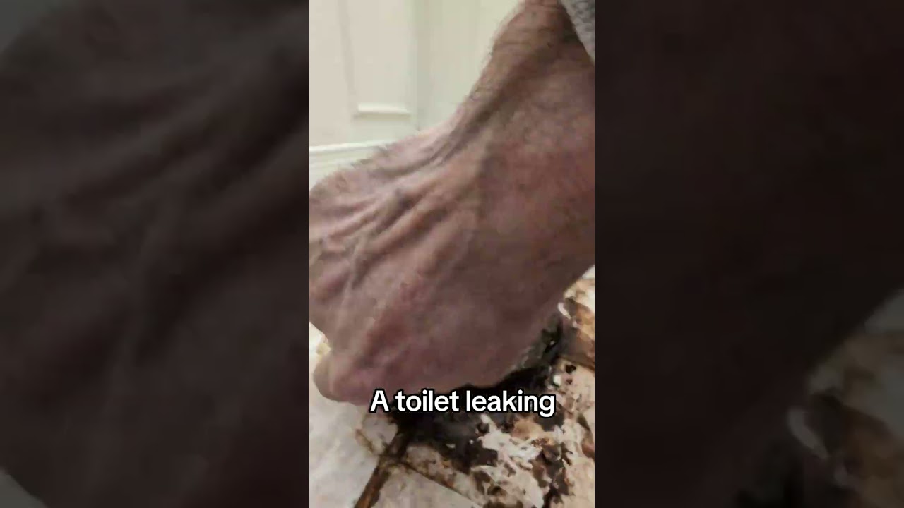Toilet leaking, because missing Wax seal #washroom   #toilet #leak #renovation #toiletleak