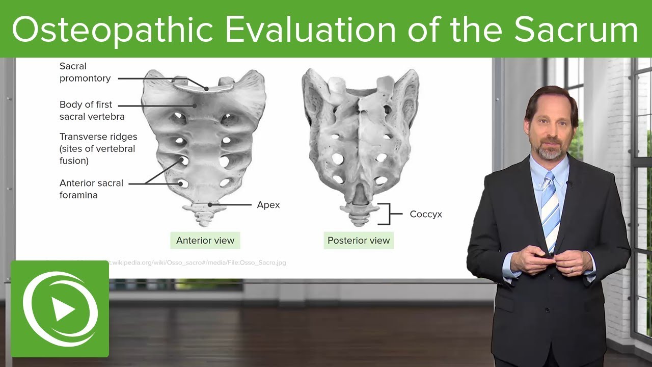 Osteopathic Evaluation of the Sacrum – Osteopathic Manipulative Medicine (OMM) | Lecturio