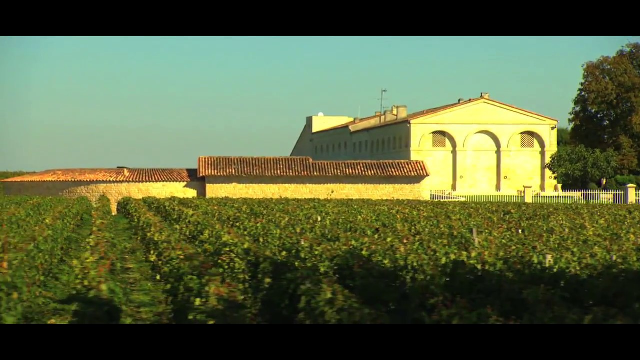 Ch&acirc;teau Mouton Rothschild - Vue A&eacute;rienne