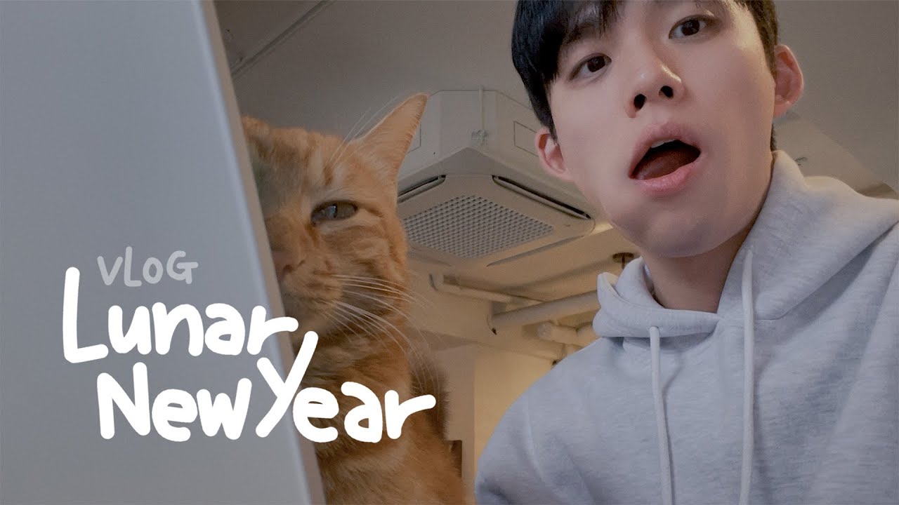 고양이 카페