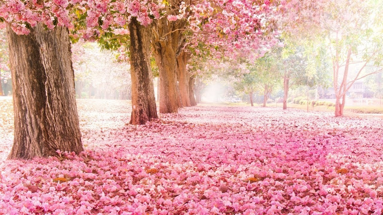 Peaceful, Relaxing, Soothing, Instrumental Music 