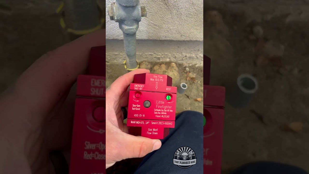 Earthquake Valve