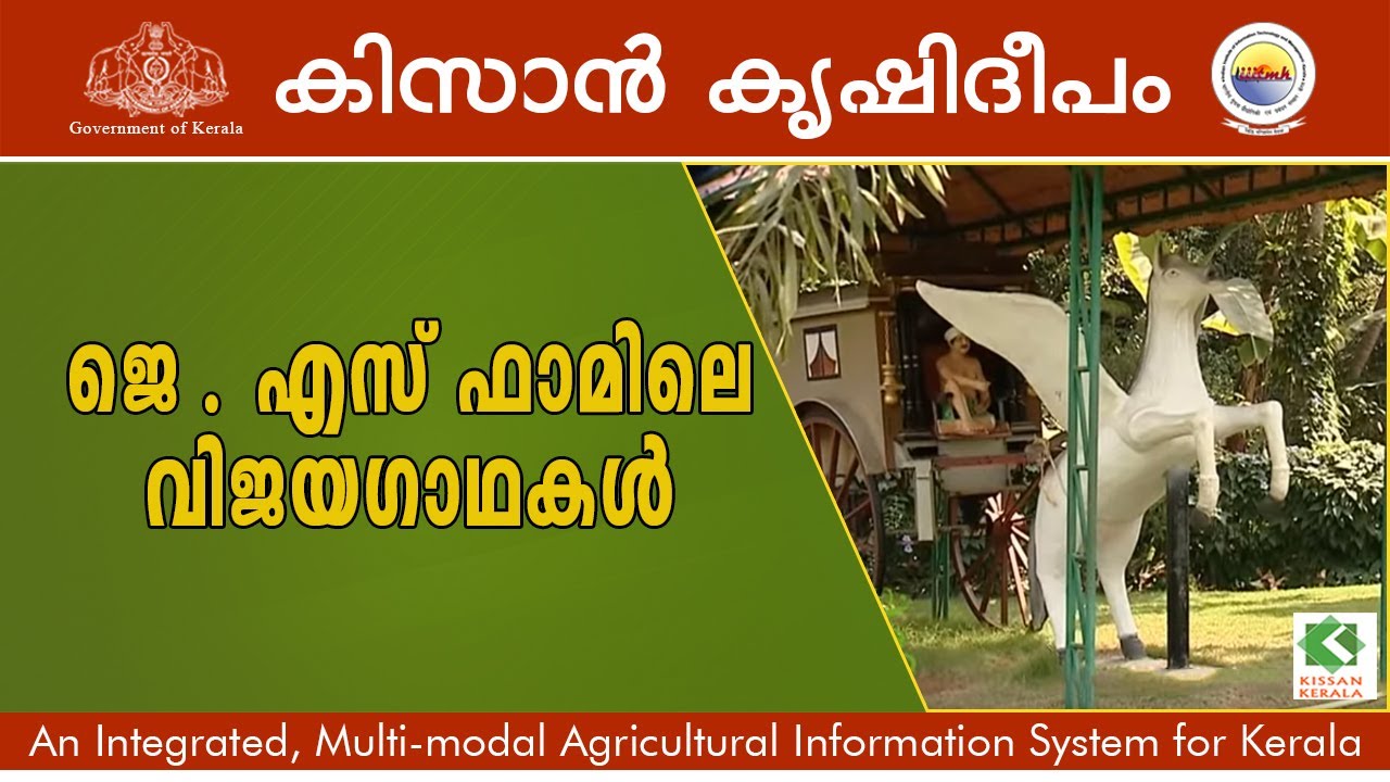 A Model of Responsible Farm Tourism - JYES Farm, Neendoor
