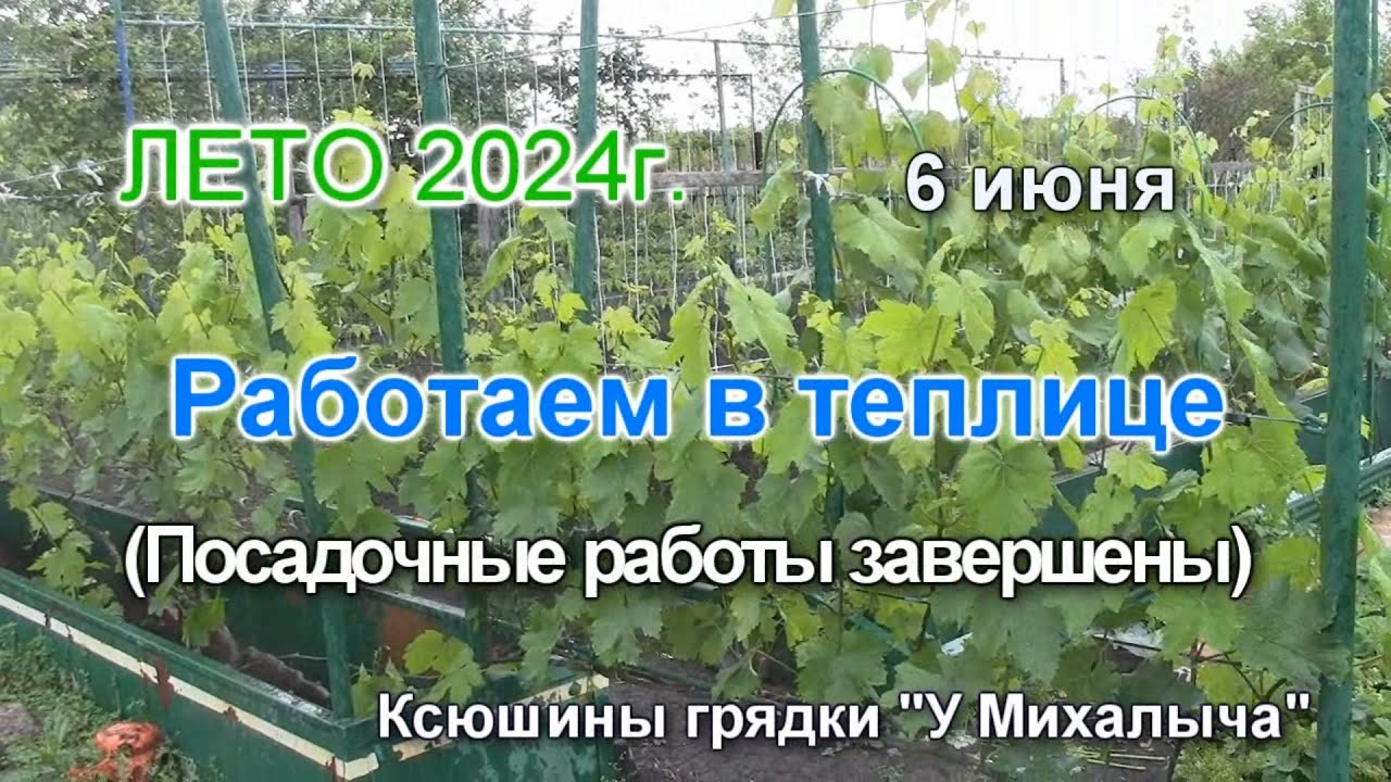 ВЕСНА  МАЙ.  Дождь. Работаем в теплице.