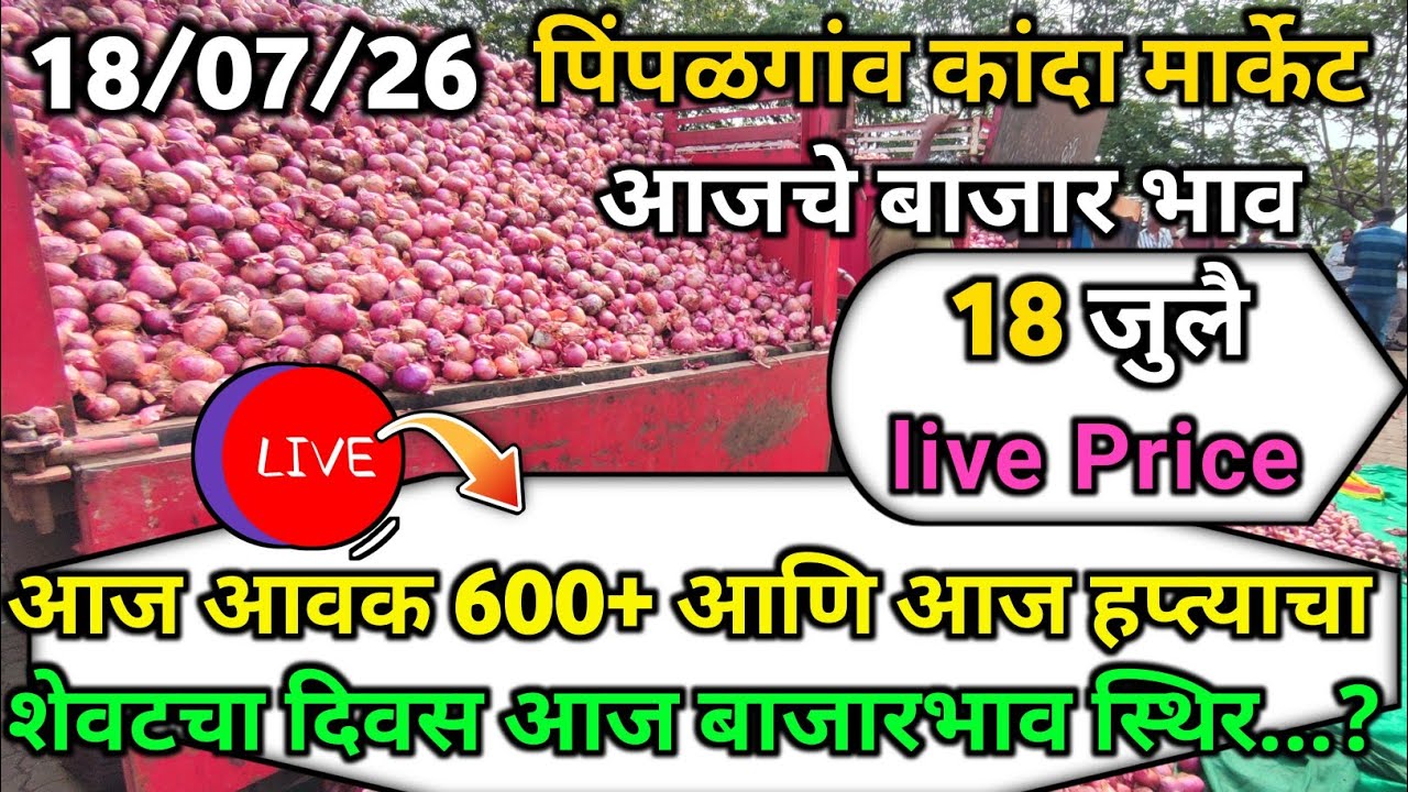 Pimpalgaon Onion Market Price Today:Latest Rates And Insights 18 July 2026