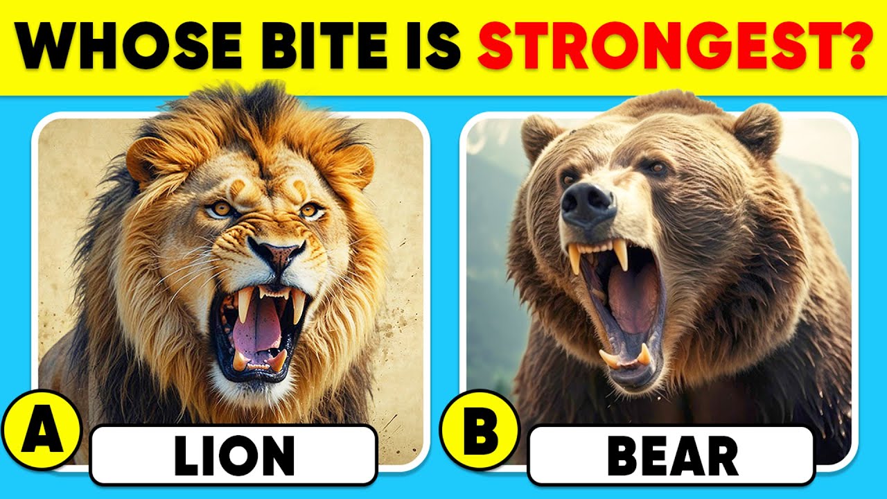 How Good Is Your Knowledge of ANIMALS? 🦁🐻⚠️ General Knowledge Trivia Quiz