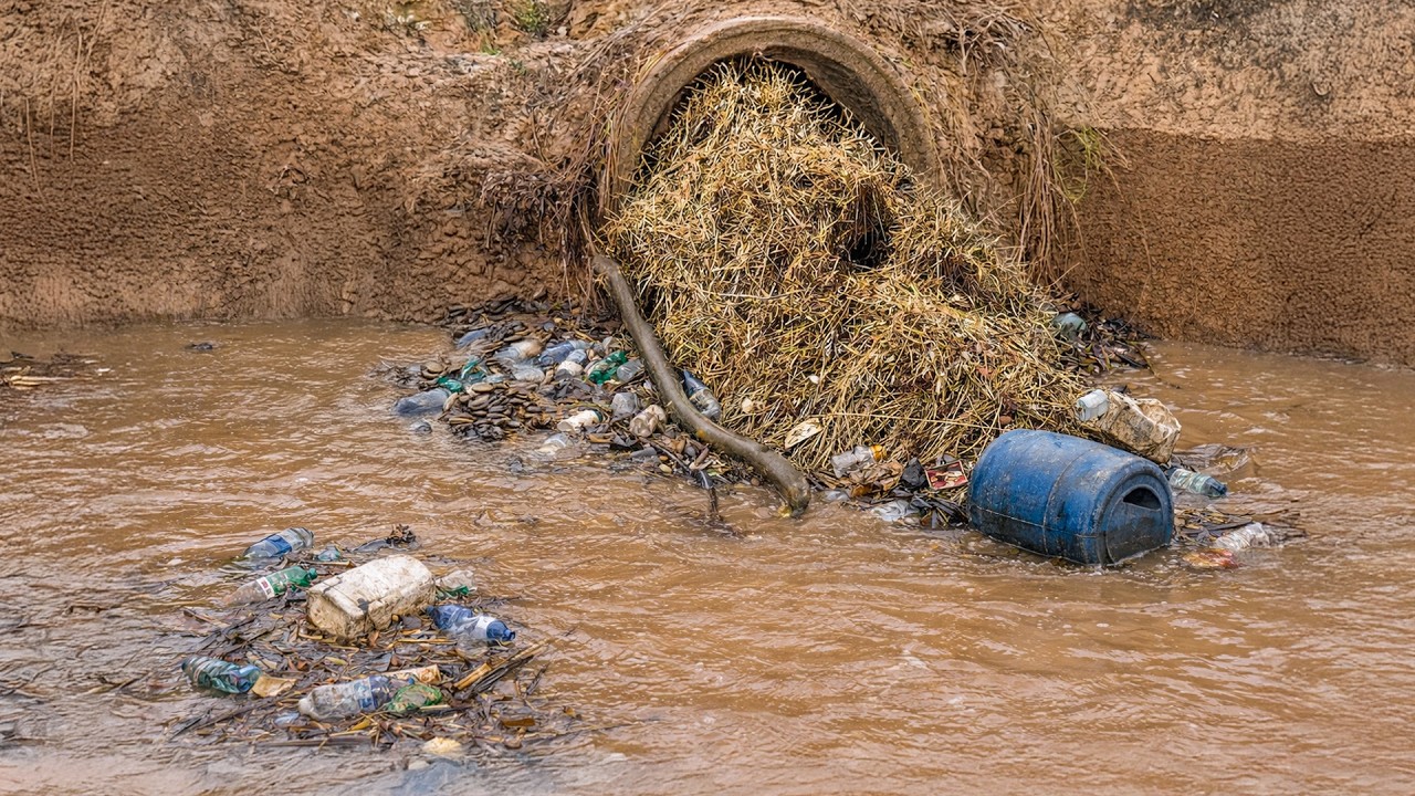 Massive Blockage Pulled from Culvert Saves the Street