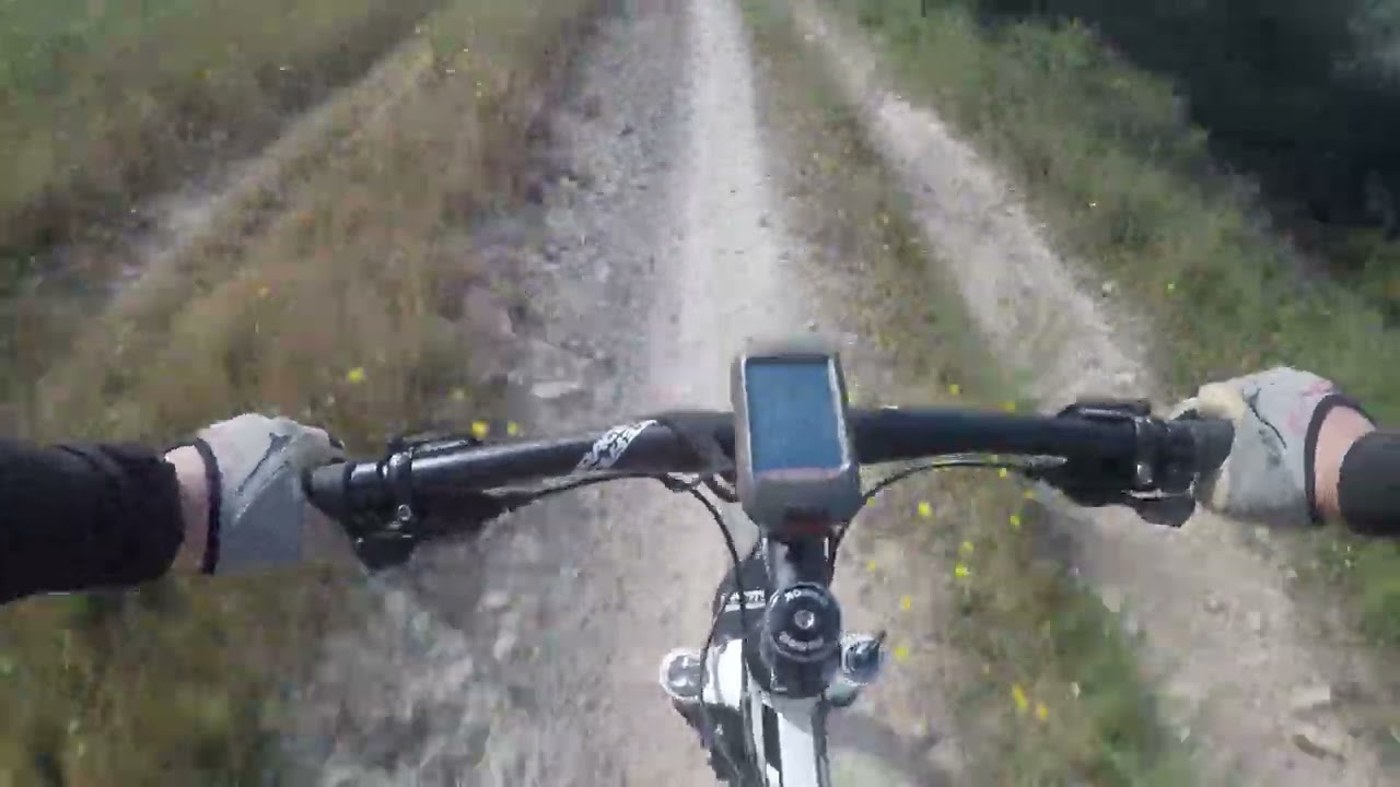BTT por Valongo