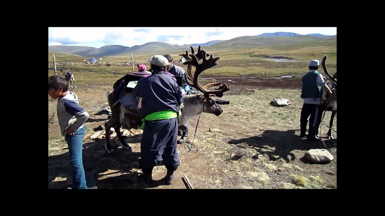 The Reindeer Herders - Tsaatan