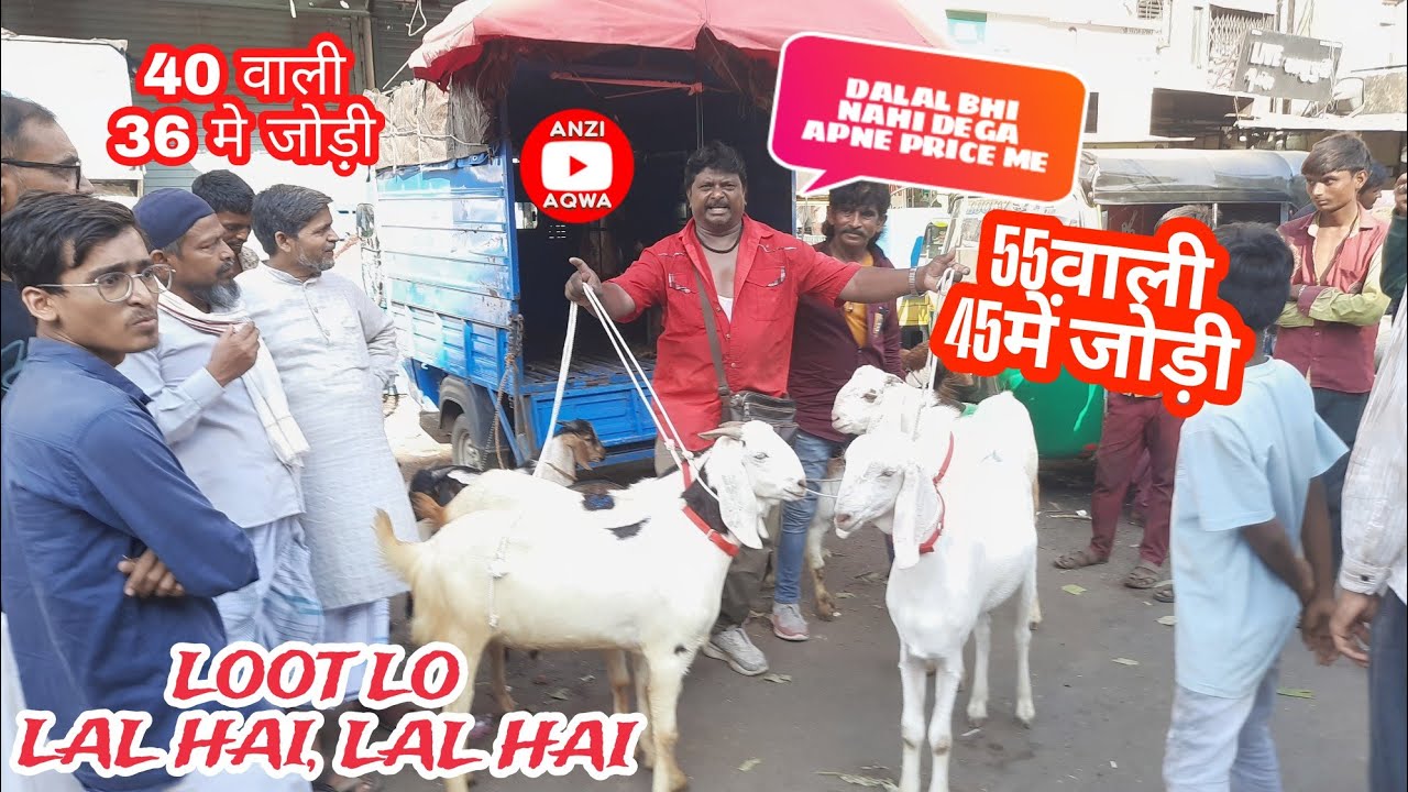 Mandi का Dalal भी Nahi देगा Apne भाव में ! | Saniwari Bazar Bakra Mandi Surat | #anziaqwa