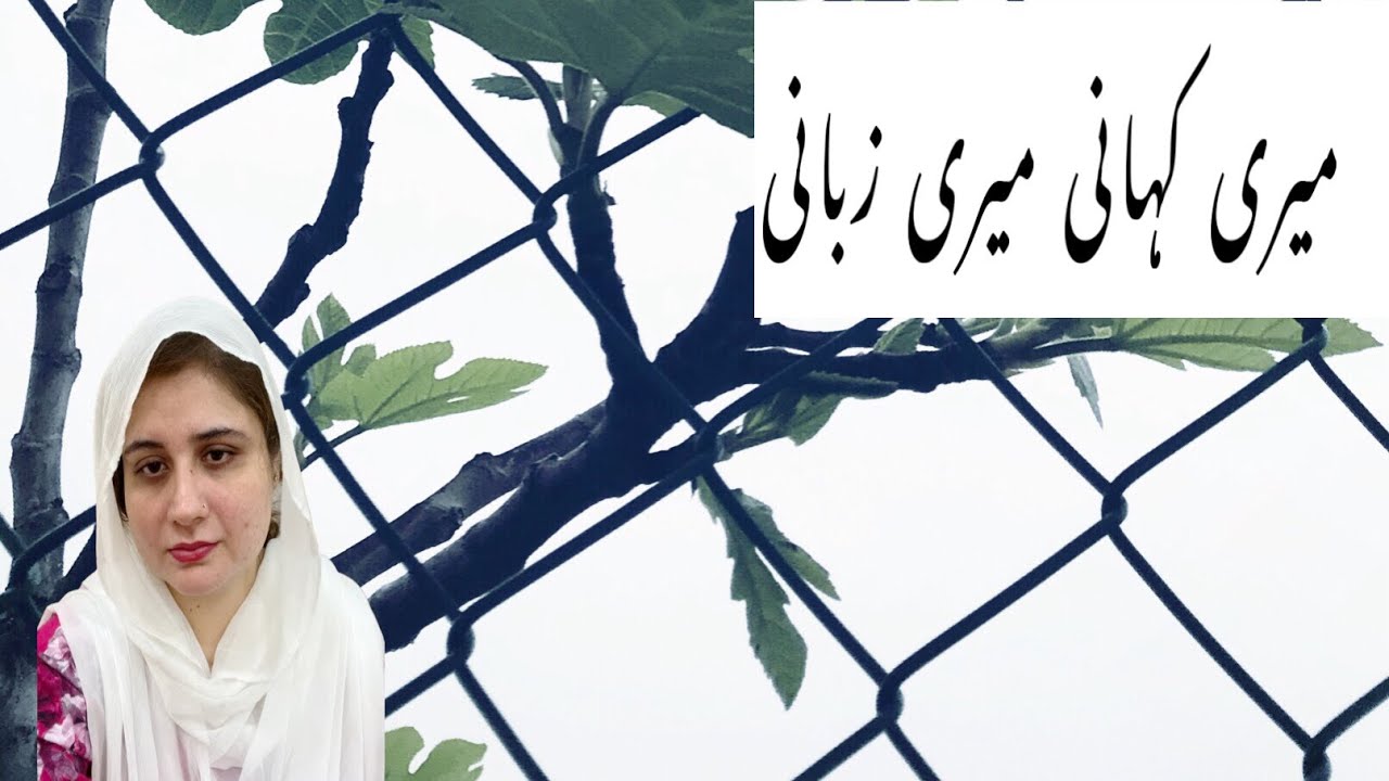 Surah Baqarah || Meri Kahani Meri Zubani 