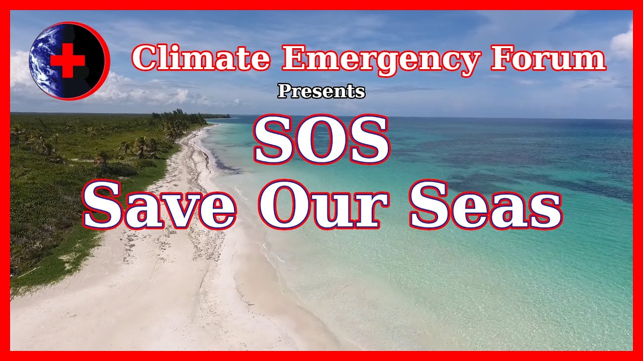 SOS - Save Our Seas