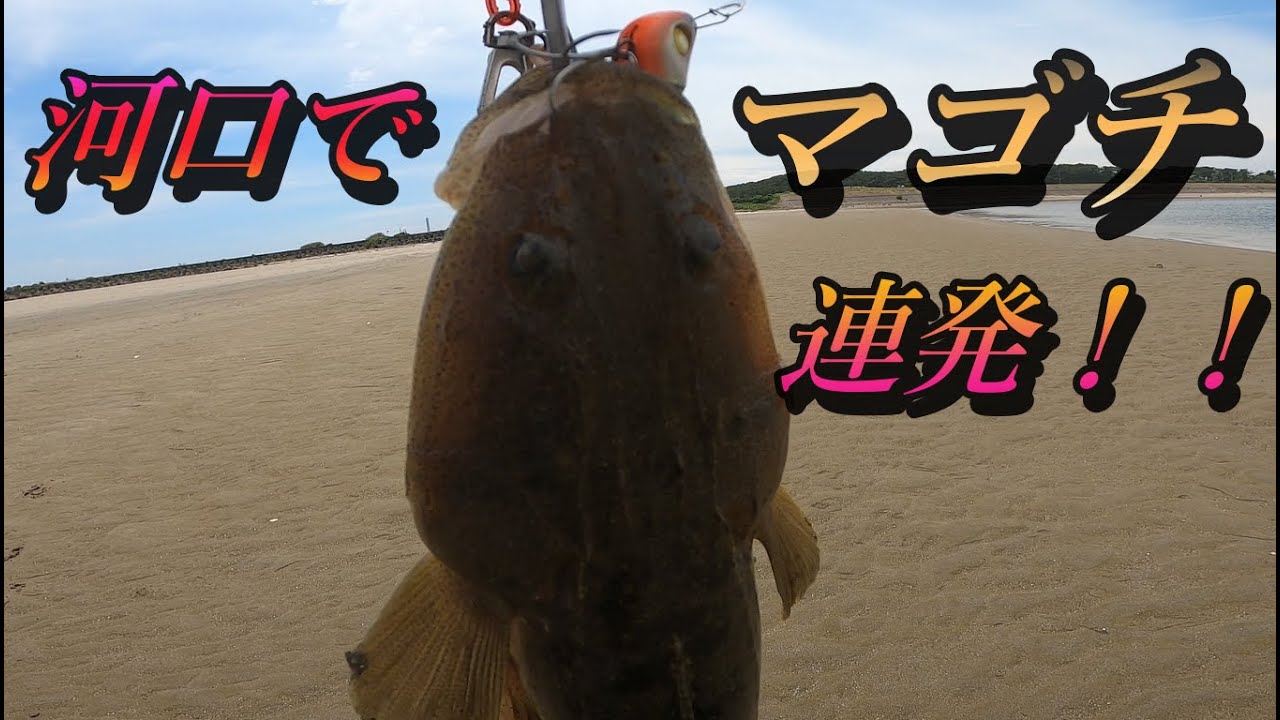 【久慈川河口で釣り】河口でマゴチが連発！！いきなり襲ってくる強い引きに大興奮！！