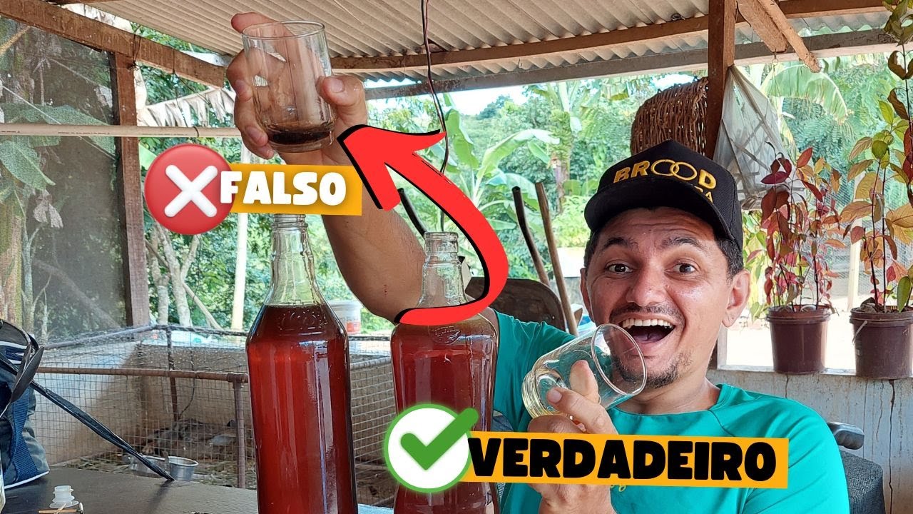 CHEGA DE SER ENGANADO | Mel verdadeiro ou Falso