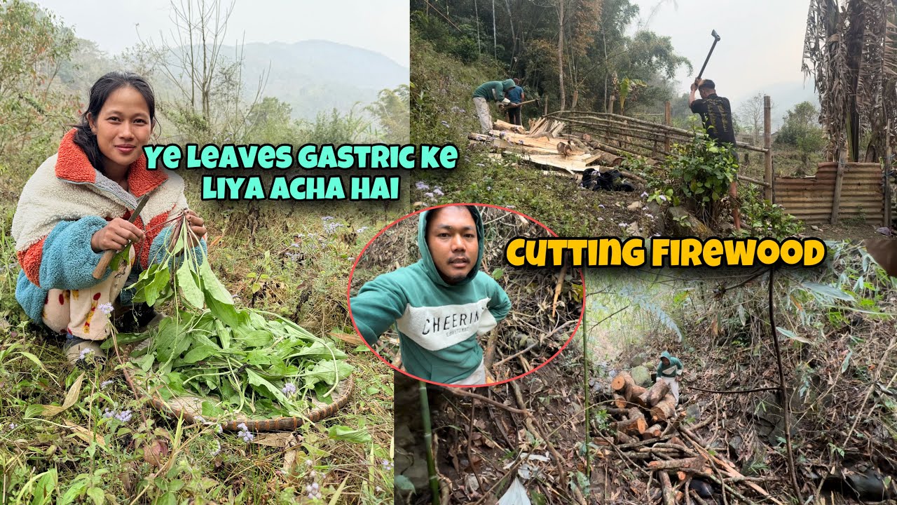 Simple Village Life || Cutting Firewood Together
