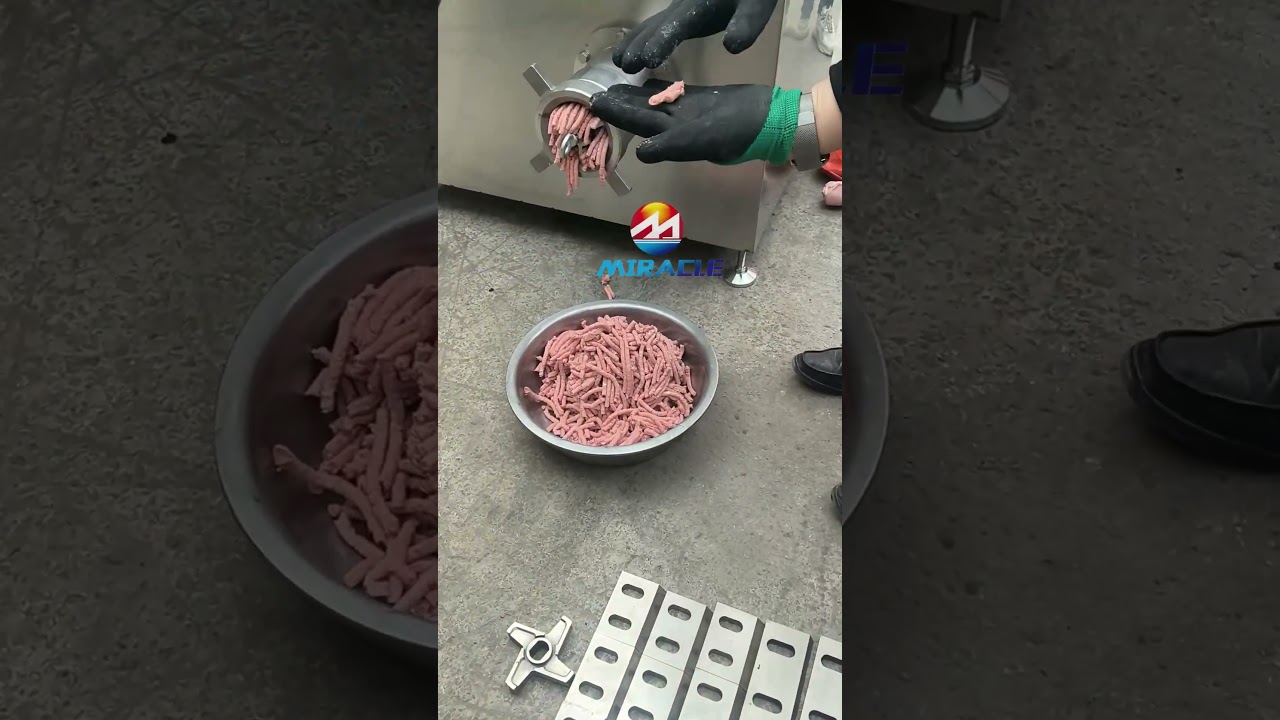 Fully Automatic Beef Bone Crushing Machine Animal Bone Crusher And Grinder!#animalbones #grinder