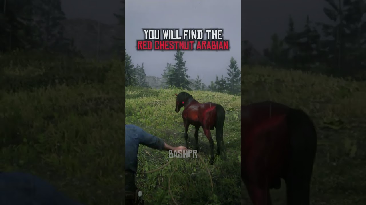 Rare Horse Locations In Red Dead Redemption 2 | 