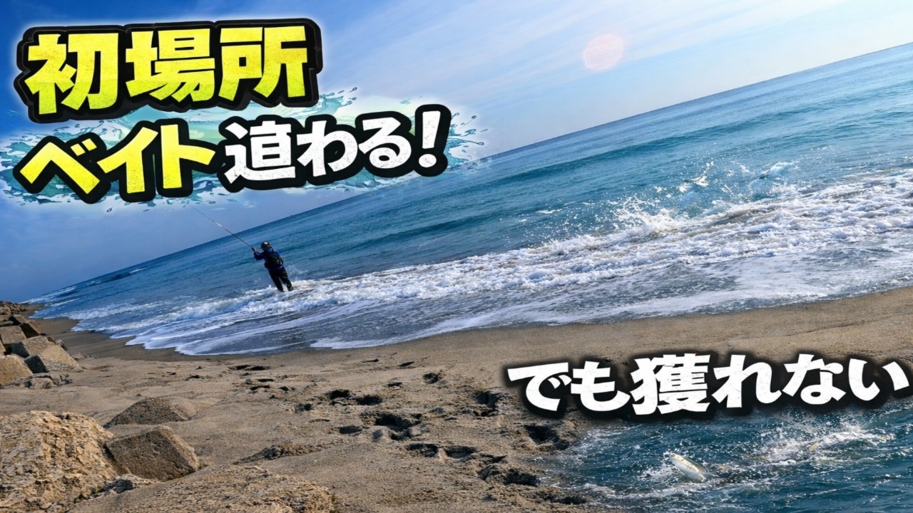 遠州灘サーフ