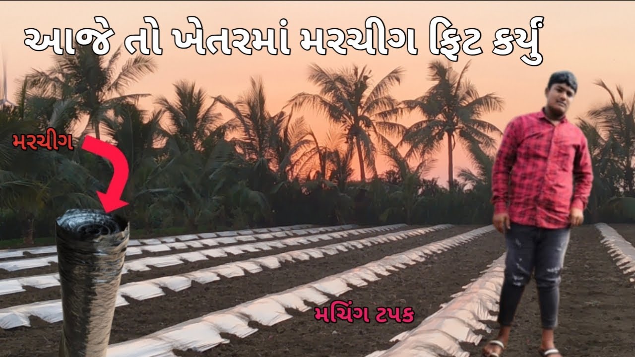 ટપક ના કટકે કટકા કરી નાખ્યા અને બીજી બાજુ મચીગ ફેટ કર્યું