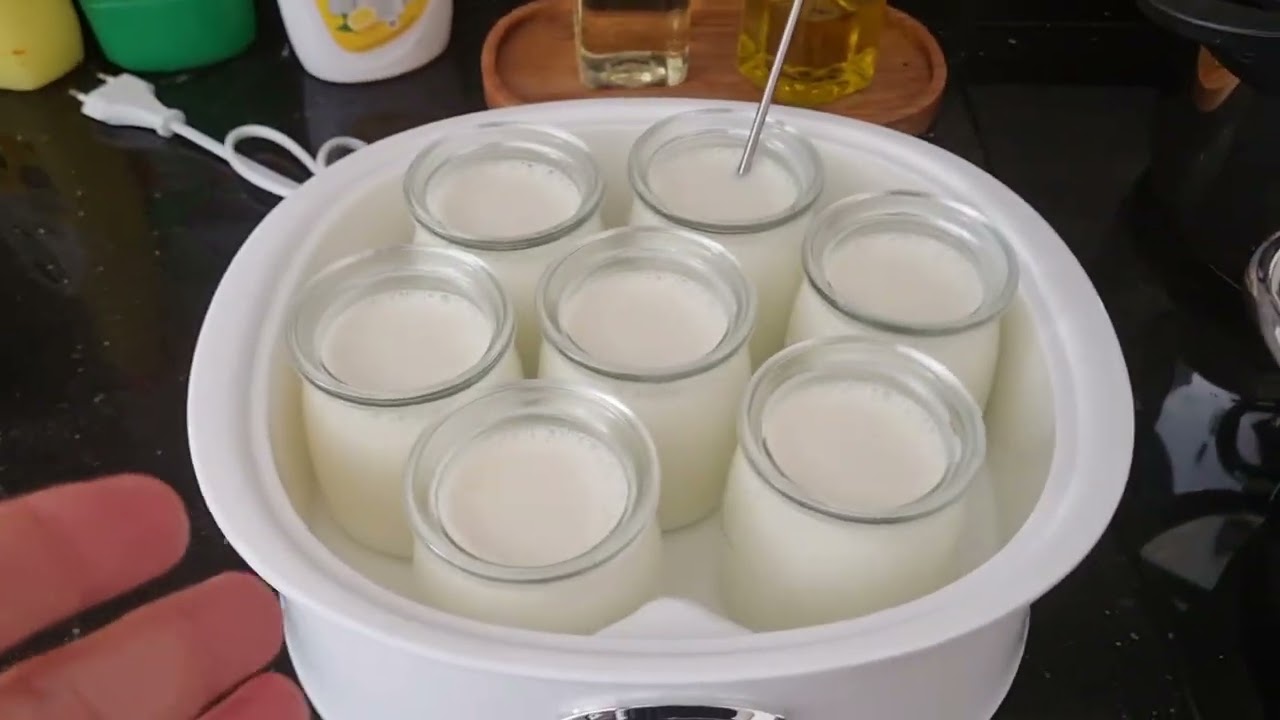 Türkiye Şartlarında L. Reuteri Yoğurdu Yapmak (Yapamamak)
