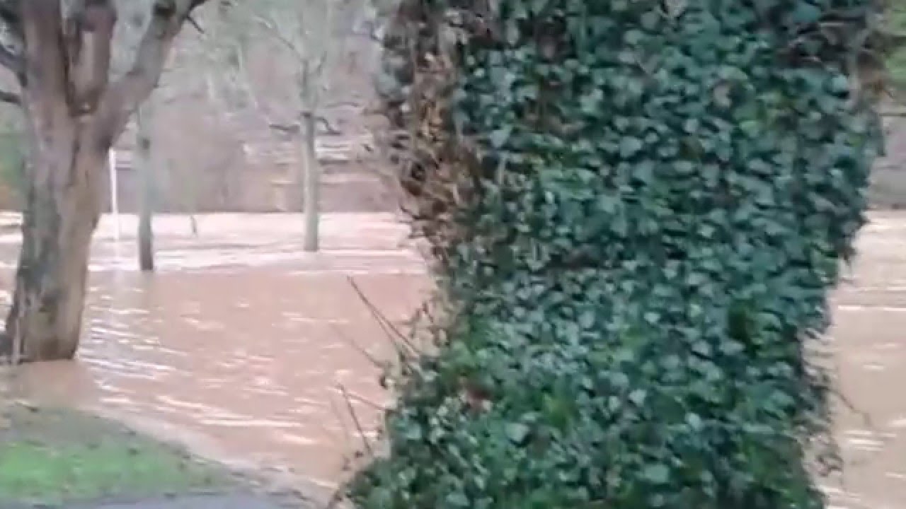 Jedburgh  flood-random clips