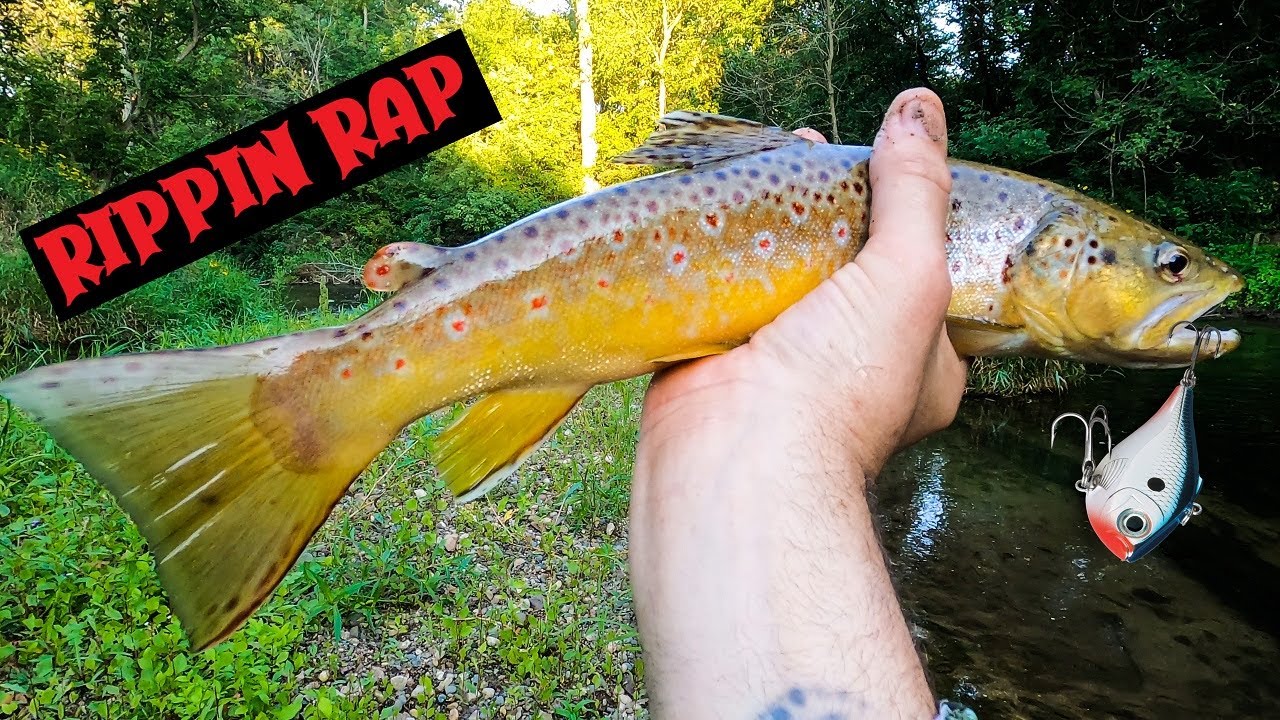Fishing BIG Rapalas for BIG Trout - Rippin Rap Attack!  #driftless