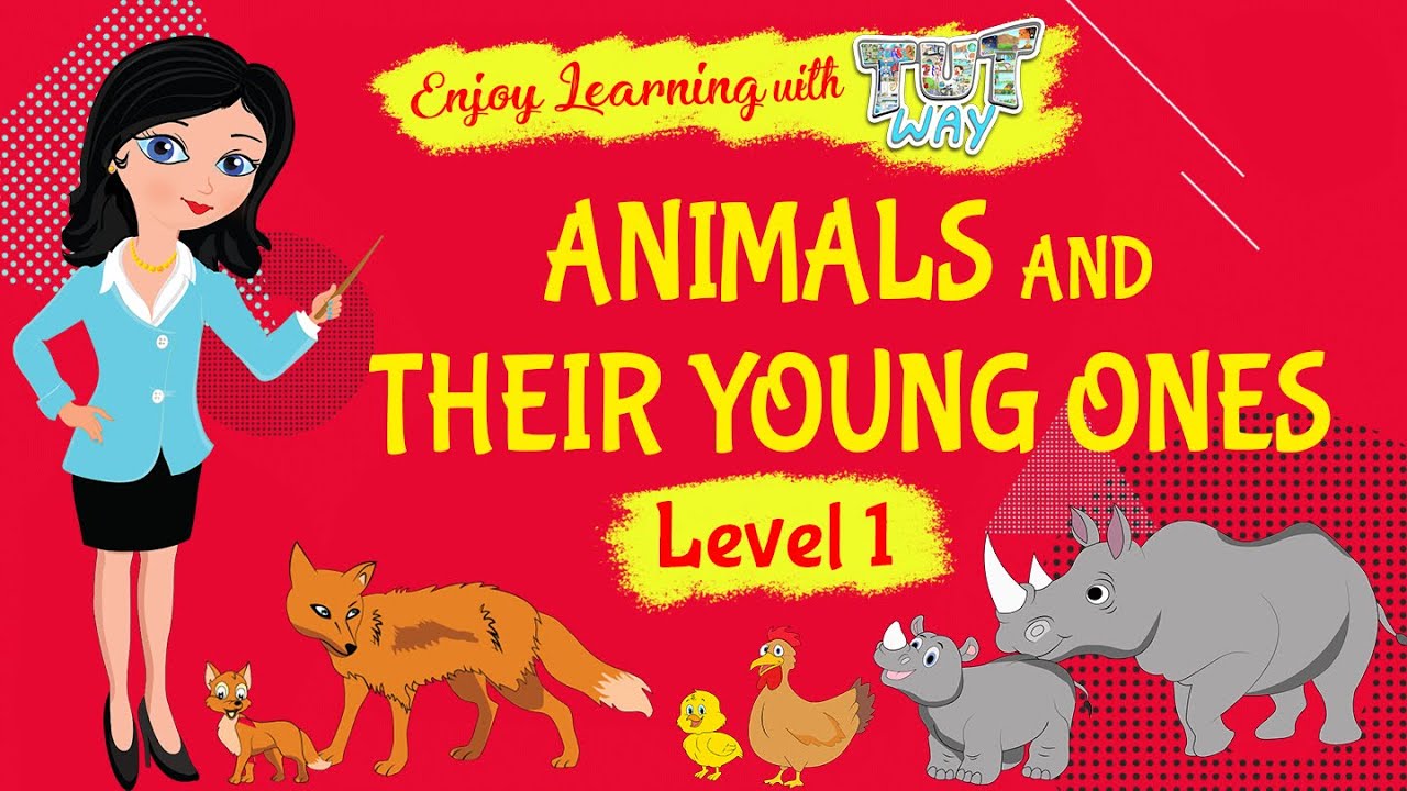 Animals And Their Young Ones For Kindergarten | TutWay