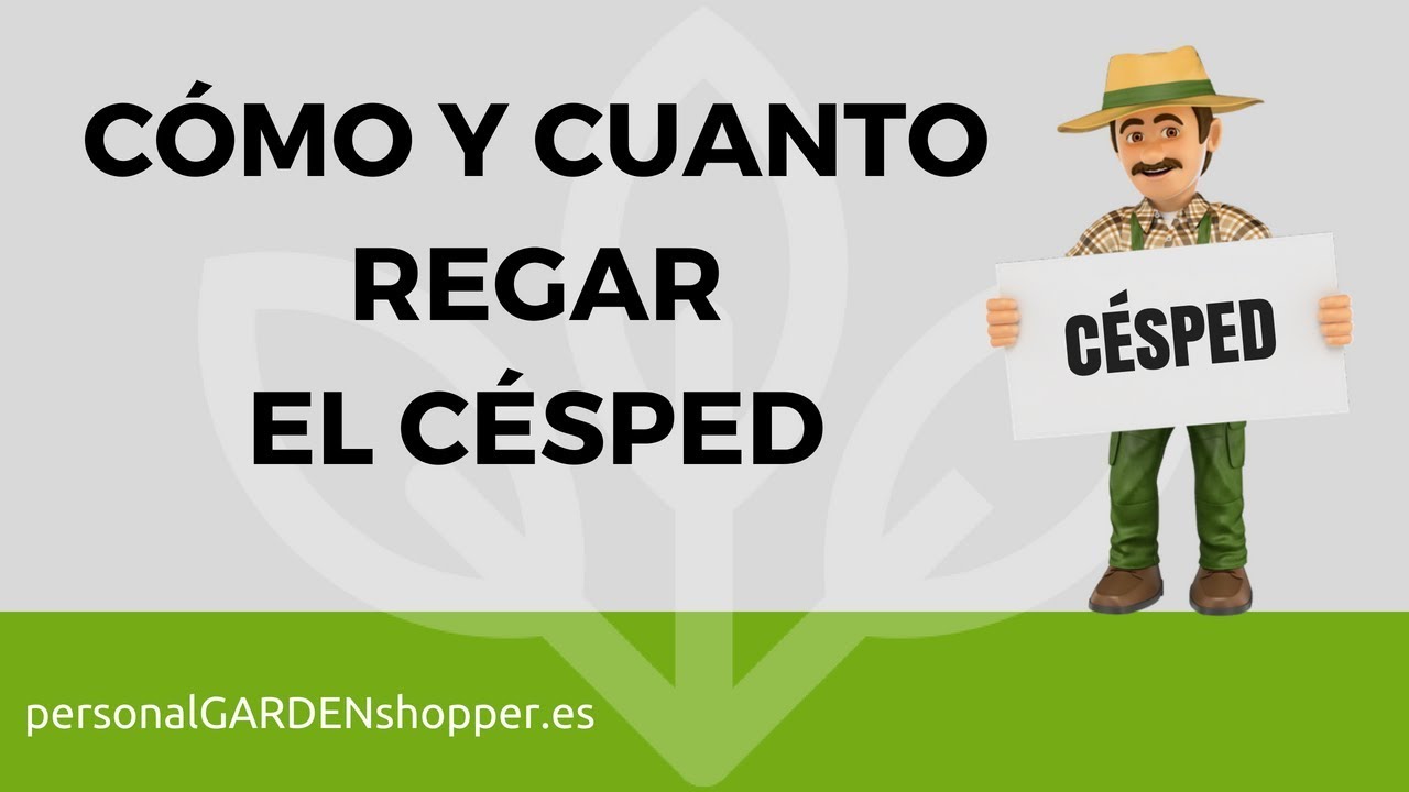 CÓMO Y CUANTO REGAR EL CÉSPED