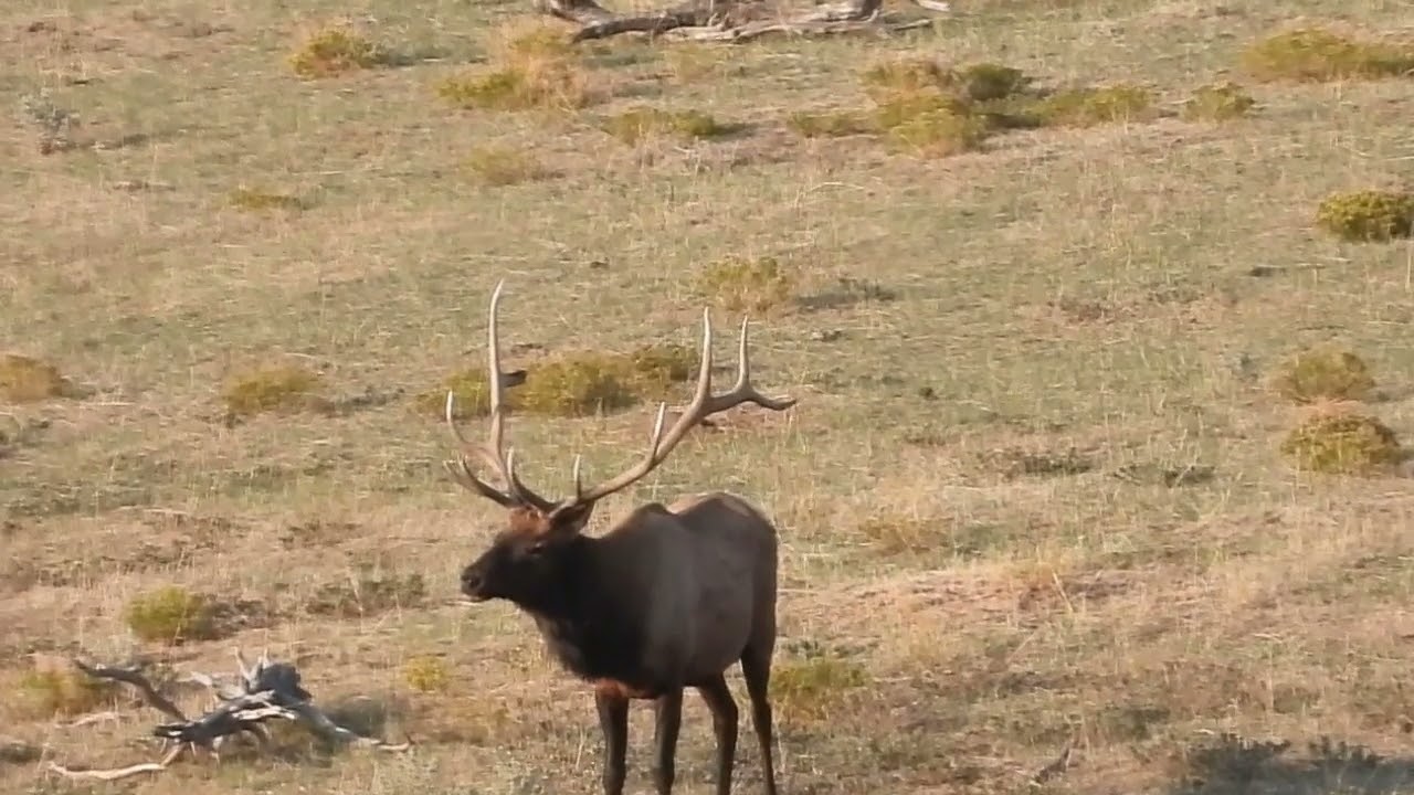 New Mexico GMU Unit 6C Hunting Information