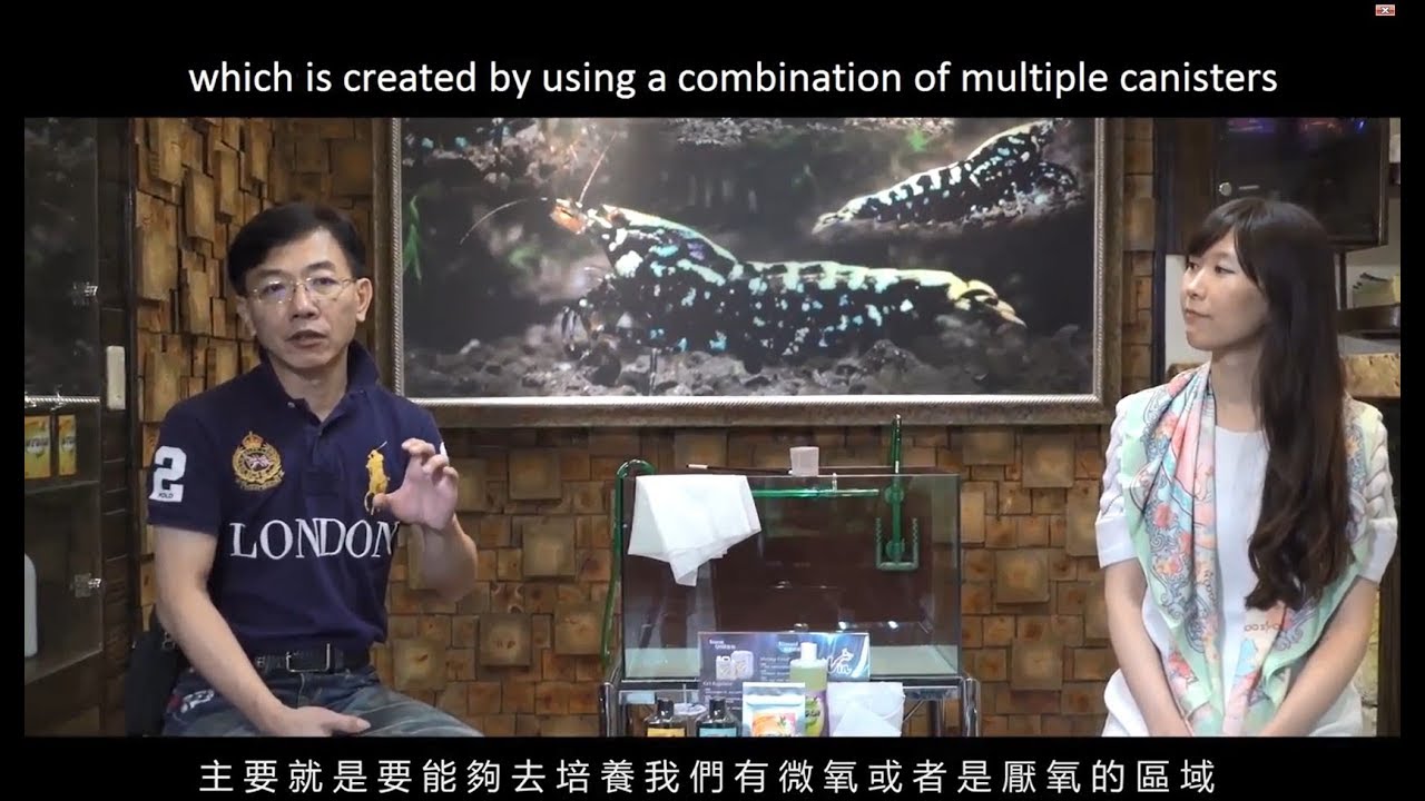 How to setup a tank close to the Crystal Shrimp's natural habitat  by Vin