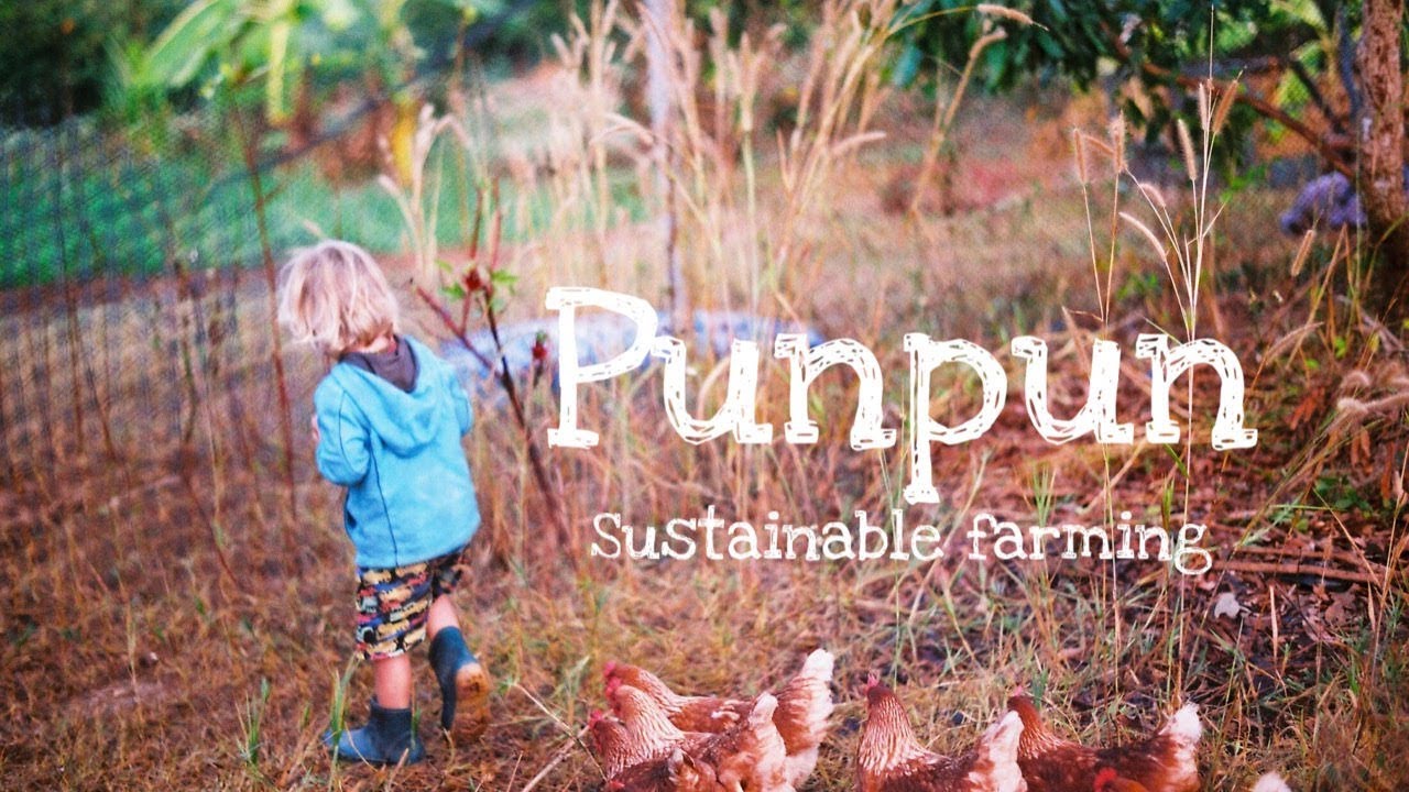 How is it like living in a sustainable farm called PunPun