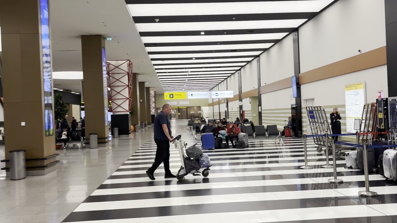 Выдача багажа в аэропорту Шереметьево