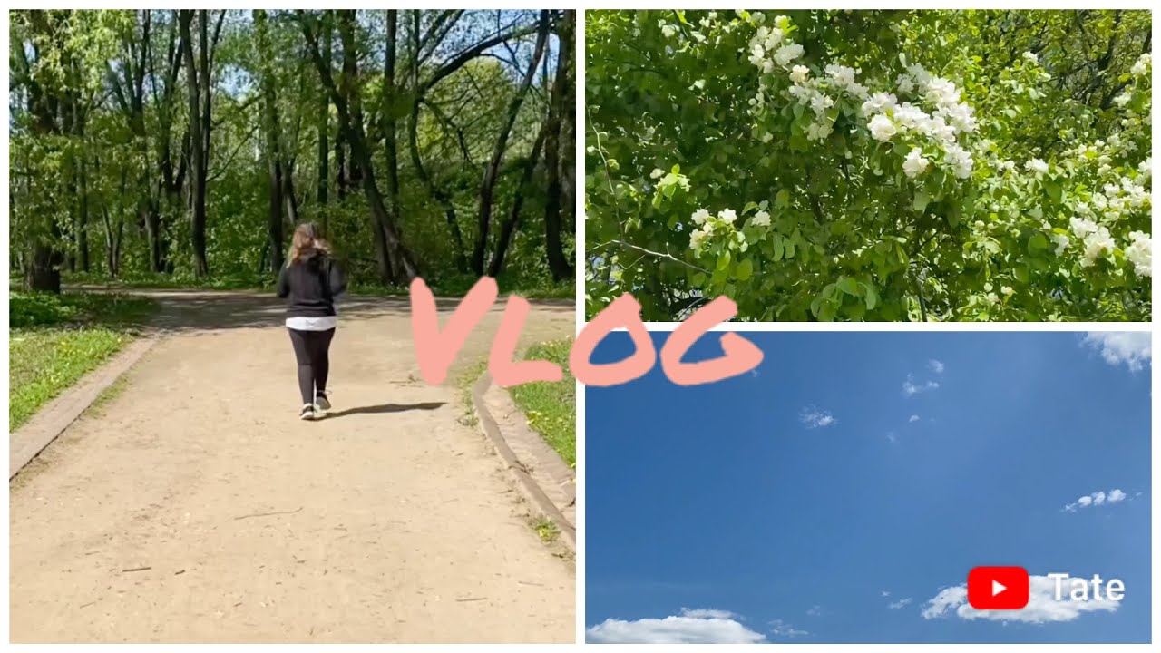 Неправильное питание и мой вес.Влог