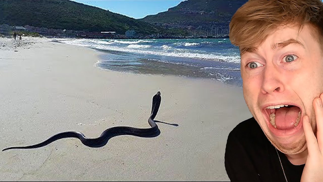 Bade NIEMALS an diesem Strand.. (sehr gef&auml;hrlich)