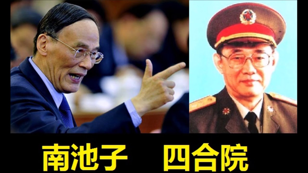 王瑞林何许人也? 王岐山敢抢他的南池子地库
